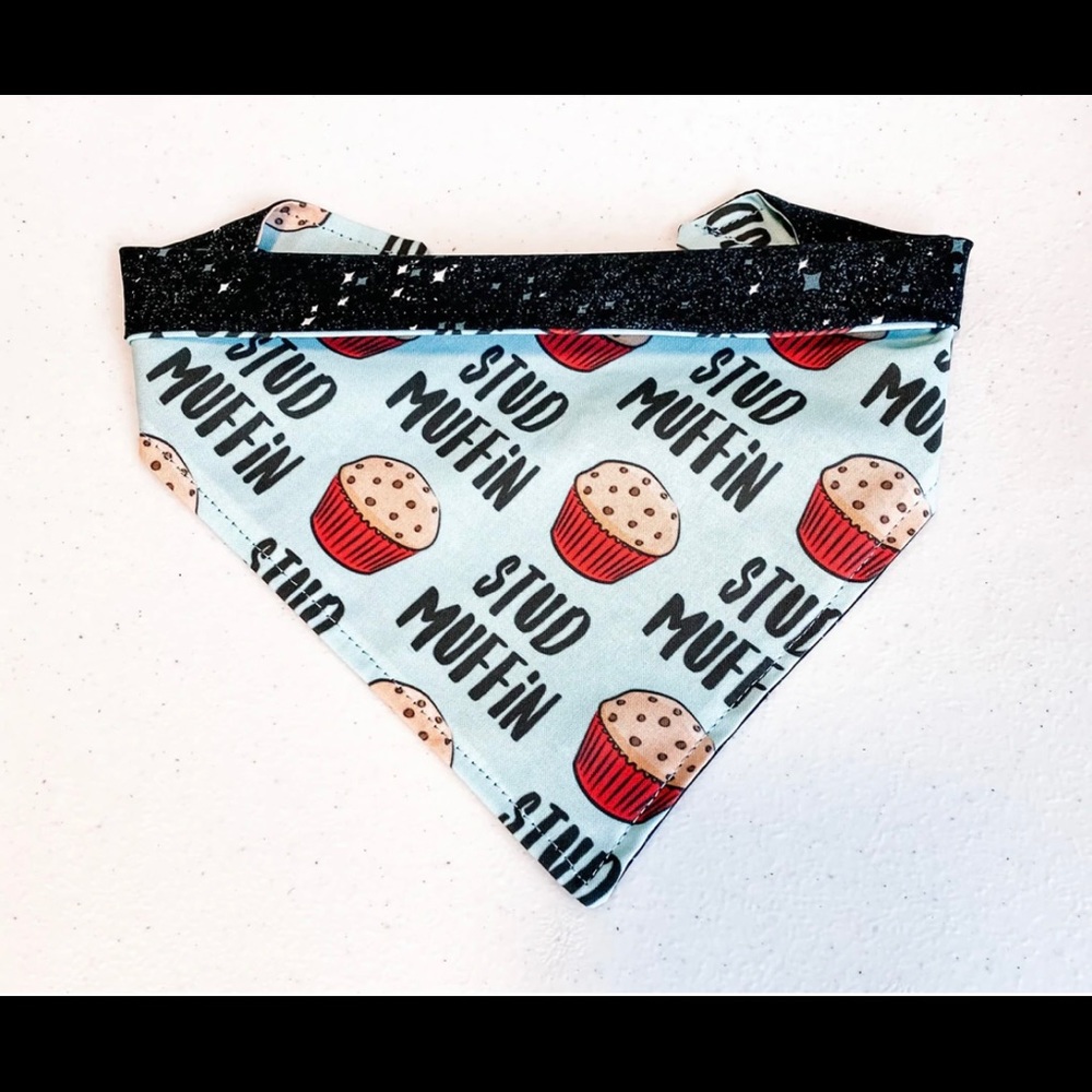 Cute reversible dog bandana